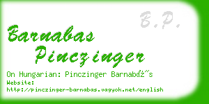 barnabas pinczinger business card